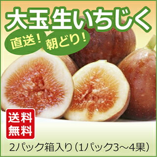 生いちじく 2パック箱入 愛知県産のサムネイル
