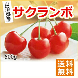 さくらんぼ 山形県産さくらんぼ　500g 山形県産 L-2L玉　バラ詰（佐藤錦・紅秀峰・大将錦）