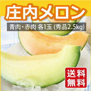 山形県産庄内メロン 青肉赤肉秀品 2.5kg入り