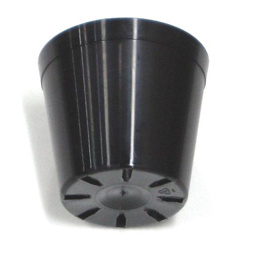 �ż��ݥ�ȭ4�� 12cm A��