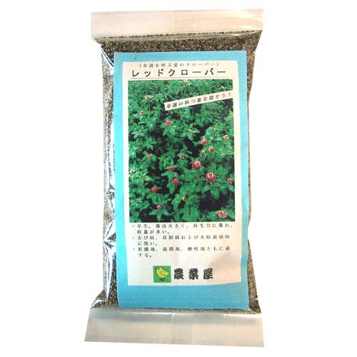 緑肥・景観用 種 種子 小袋（約250g） （ 種 野菜 野菜種子 野菜種 ）