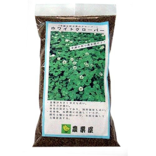 緑肥・景観用 種 【 白クローバー （ シロツメクサ ） 】 種子 小袋（250g）【品種名：フィア】 （ 種 野菜 野菜種子 野菜種 ）