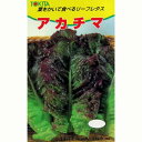 レタス 種 【 アカチマ 】 種子 小袋(約2ml) ( 種 野菜 野菜種子 野菜種 ) ★