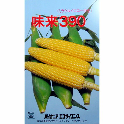 とうもろこし 種 【 味来390 】 小袋 (約50粒) ( とうもろこしの種 )