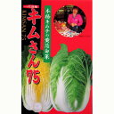 白菜 種 【 キムさん75 】 種子 小袋(約1ml) ( 種 野菜 野菜種子 野菜種 )