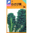 【 わさび菜 】 種子 小袋（約6ml） （ 種 野菜 野菜