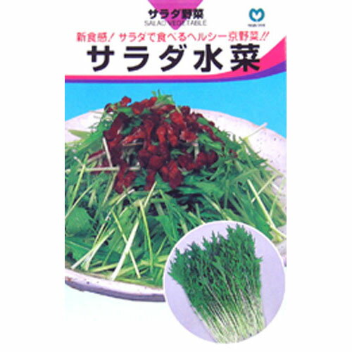 水菜 種 【 サラダ水菜 】 種子 小袋(約7m...の商品画像