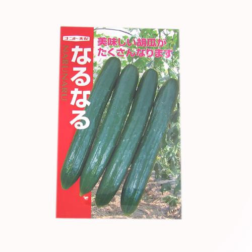 きゅうり 種 【なるなる】 約17粒 （ 種 野菜 野菜種子 野菜種 ）