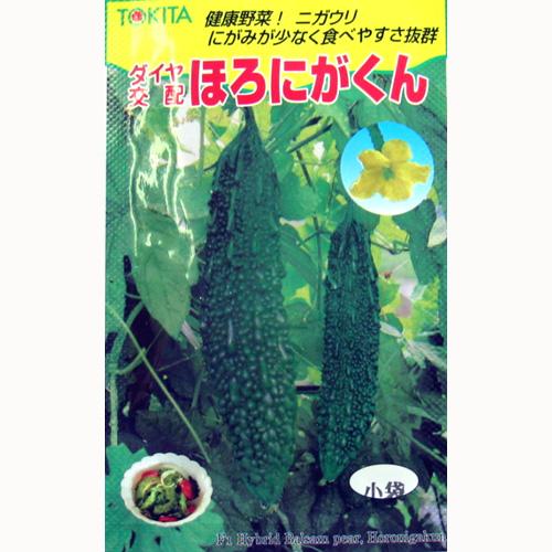 Other - ゴーヤ 種 【ほろにがくん】 小袋 （ 種 野菜 野菜種子 野菜種 ） ★