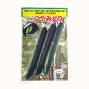 きゅうり 種 【つやみどり】 約15粒 ( 種 野菜 野菜種子 野菜種 ) ★