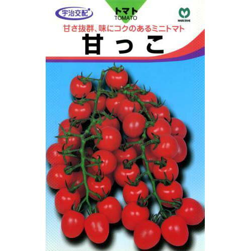 【 ガーデニング 家庭菜園 】種 苗 苗木 園芸用品 農業用 資材 菜園くらぶ甘っこ (ミニトマトの種) 10粒