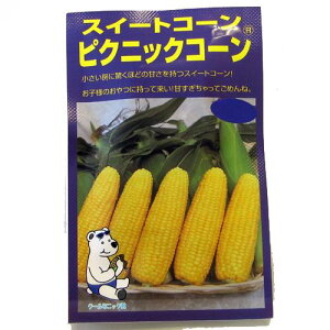 とうもろこし 種 【ピクニックコーン】 約12ml （ 種 野菜 野菜種子 野菜種 ）