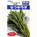 エンサイ 種 【なつサラダ】 小袋 ( 種 野菜 野菜種子 野菜種 )