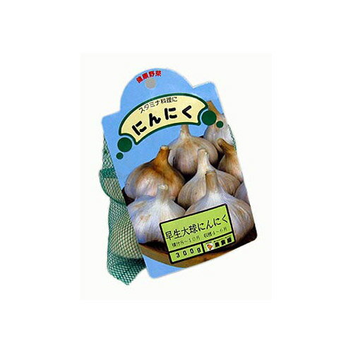 �ɂ�ɂ� �����勅�j���j�N �틅 ��200g  ���Y  [ �� ���� �� ]