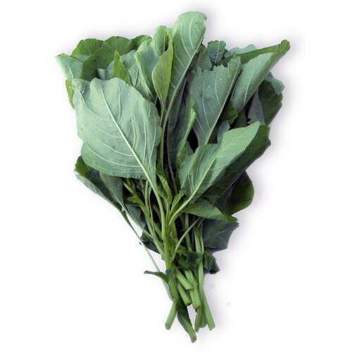 葉菜類 種 【 いろこい菜 】 小袋（1ml） ( 葉菜類の種 )