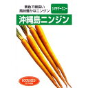 にんじん 種 【 沖縄島ニンジン 】 種子 小袋 ( 種 野菜 野菜種子 野菜種 )
