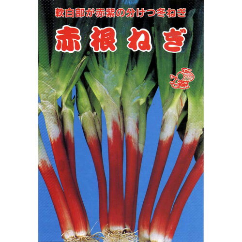 メール便で10袋まで同梱できます。 種子と責任種子は努めて純良なものをご用意しておりますが、商品の性質上100%の純度や発芽は望めません。商品の包装等に記載のある、発芽試験結果を満たした商品をお届けいたします。発芽は播種後の条件により結果が異なるため、温度や水分などを品目ごとに適した条件下で管理してください。不適条件下では発芽しないことがあり、また100%同一ではなく、まれに異株が出る場合がございます。種子・苗などについて、発芽後および植えつけ後の栽培条件や天候などによって結果が異なりますので、商品の生長後や収穫物に対する補償はいたしかねます。また商品の性質上、結果不良につきましてはお買い上げ金額の範囲内とさせていただきます。(お客様の栽培管理や気象条件による結果不良につきましては、その責任を負いかねます)独自に加工されたものや、お届け後に有効期限を超えられたものにつきましては責任を負いかねます。野菜などの収穫物については、品種の特性や栽培条件などにより生育に差が生じることがあり、収穫物のサイズ、重量、味などは掲載表現と異なる場合がございます。赤根ねぎ (ネギ) ネギの種 蒔き方(※数値はあくまでも目安です。特に、畝幅や条数・播種方法などは栽培方法を限定するものではありません） 播種方法 分類 畝幅 （cm） 条数 （条） 株間 （cm） 10a当たり 株数 10a当たり 播種量 10a当たり 播種量（粒数） 20ml当たり 粒数 条蒔き 葉 90 4 1 40万〜50万 3〜4L 45万〜100万 3,000〜5,000 根深　 70〜90 1 3〜4 4万〜5万 5〜7dl 7.5万〜17.5万 3,000〜5,000 小袋種子の内容量表記について農作物である商品の特性上、小袋パッケージの商品に関しましては、販売時期により、内容量が変更になる場合があります。商品名に内容量が記載されている場合がございますが、あくまで目安であり、1mlほど前後するものとお考え下さい。また、内容量が増減したことによる価格の変更もありません。あらかじめご了承いただいた上で、ご注文をお願いいたします。