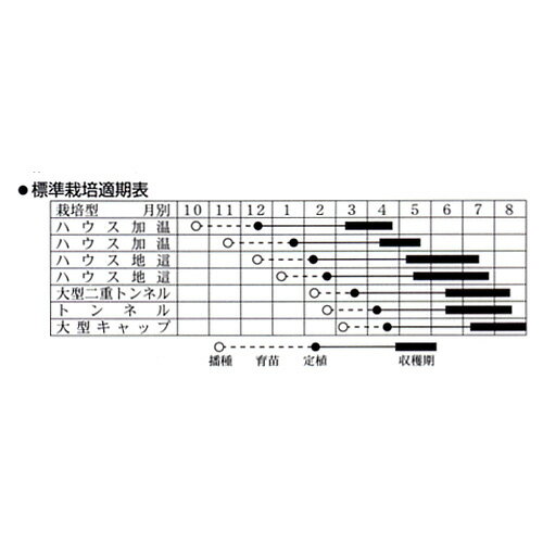 ������ �� �ڥѥ�ʥ����󥰡� ��10γ �� �� ��� ��ڼ�� ��ڼ� ��