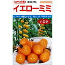 ミニトマト 種 【イエローミミ】 コート600粒 ( 種 野菜 野菜種子 野菜種 )