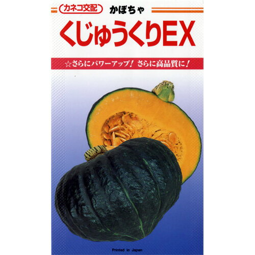 カボチャ 種 【 くじゅうくりEX 】 小袋（9粒） ( カボチャの種 )