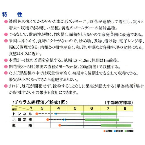 ���å����� �� �� �֥�å����å� �� ��� ���ޡ���10γ�� �� �� ��� ��ڼ�� ��ڼ� ��