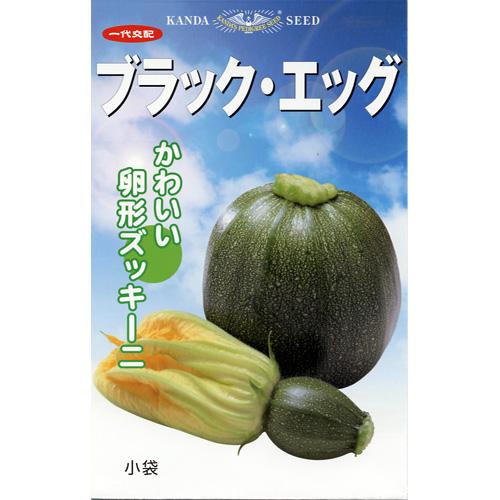 ズッキーニ 種 【 ブラックエッグ 】 種子 小袋（約10粒） （ 種 野菜 野菜種子 野菜種 ）