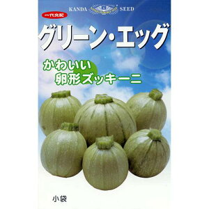 ズッキーニ 知識の泉 菜園くらぶ 種と苗と家庭菜園の専門店 ズッキーニ 知識の泉 菜園くらぶ 種と苗と家庭菜園の専門店