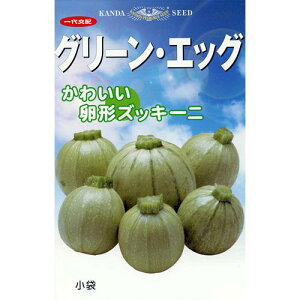 ズッキーニ 種 【 グリーンエッグ 】 種子 小袋（約10粒） <br>（ 種 野菜 野菜種子 野菜種 ）