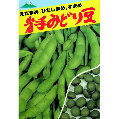 メール便で10袋まで同梱できます。 種子と責任種子は努めて純良なものをご用意しておりますが、商品の性質上100%の純度や発芽は望めません。商品の包装等に記載のある、発芽試験結果を満たした商品をお届けいたします。発芽は播種後の条件により結果が異なるため、温度や水分などを品目ごとに適した条件下で管理してください。不適条件下では発芽しないことがあり、また100%同一ではなく、まれに異株が出る場合がございます。種子・苗などについて、発芽後および植えつけ後の栽培条件や天候などによって結果が異なりますので、商品の生長後や収穫物に対する補償はいたしかねます。また商品の性質上、結果不良につきましてはお買い上げ金額の範囲内とさせていただきます。(お客様の栽培管理や気象条件による結果不良につきましては、その責任を負いかねます)独自に加工されたものや、お届け後に有効期限を超えられたものにつきましては責任を負いかねます。野菜などの収穫物については、品種の特性や栽培条件などにより生育に差が生じることがあり、収穫物のサイズ、重量、味などは掲載表現と異なる場合がございます。岩手みどり ( えだまめ ) 生育日数110〜120日位、晩生型で、茶毛の大サヤ種です。草丈は90cm位で遅い時期に出荷する横張り型の豊産種です。最大の魅力は、エダマメはもちもん、豆の中まで濃緑色でタンパク質、ビタミンを豊富に含んだ香り高い青豆ですからヒタシマメとして利用できることです。健康食品としておおいにご利用下さい。 エダマメの種 蒔き方(※数値はあくまでも目安です。特に、畝幅や条数・播種方法などは栽培方法を限定するものではありません） 播種方法 分類 畝幅 （cm） 条数 （条） 株間 （cm） 10a当たり 株数 10a当たり 播種量 10a当たり 播種量（粒数） 20ml当たり 粒数 &nbsp; &nbsp; 60 1 25 6,000〜7,000 8〜10L 1.84万〜3万 45〜60 小袋種子の内容量表記について農作物である商品の特性上、小袋パッケージの商品に関しましては、販売時期により、内容量が変更になる場合があります。商品名に内容量が記載されている場合がございますが、あくまで目安であり、1mlほど前後するものとお考え下さい。また、内容量が増減したことによる価格の変更もありません。あらかじめご了承いただいた上で、ご注文をお願いいたします。