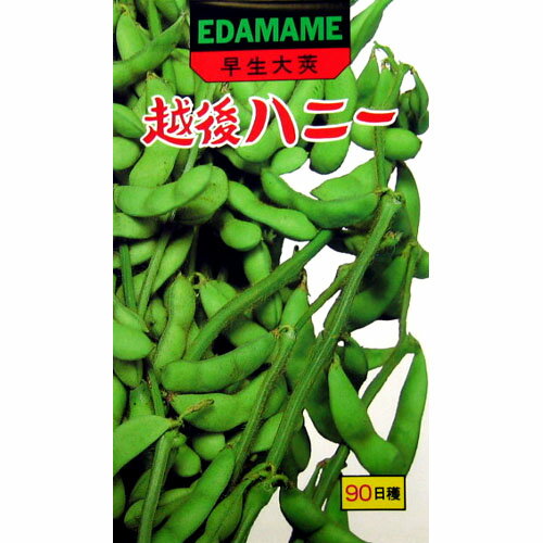 樂天商城 - 枝豆 種 【 越後ハニー 】 50ml ( 枝豆の種 )