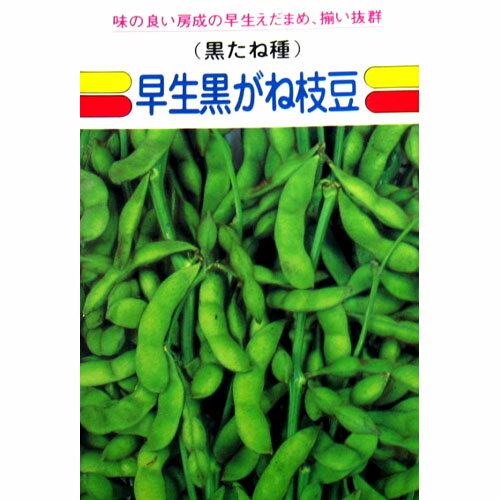 樂天商城 - 枝豆 種 【 早生黒がね 】 種子 小袋（約1dl） （ 種 野菜 野菜種子 野菜種 ）