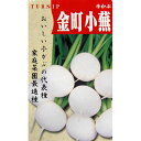 カブ 種 【金町小蕪】 小袋（約8ml） （ 種 野菜 野菜種子 野菜種 ）