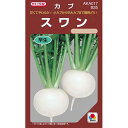 カブ 種 【 スワン 】 小袋 RF ( カブの種 )
