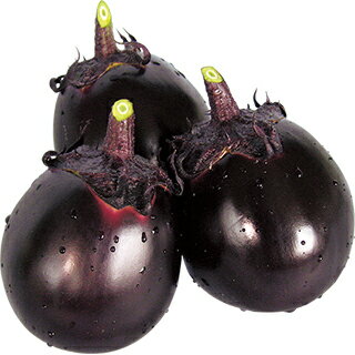 なす 種 【紫月 (しづき)】 50粒 （ 種 野菜 野菜種子 野菜種 ）