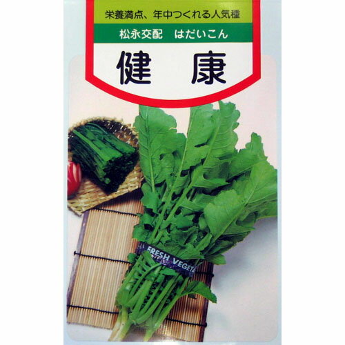 葉大根 種 【 健康 】 種子 小袋（約17ml） （ 種 野菜 野菜種子 野菜種 ）