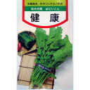 楽天【菜園くらぶ】家庭菜園の専門店葉大根 種 【 健康 】 種子 小袋（約17ml） （ 種 野菜 野菜種子 野菜種 ）