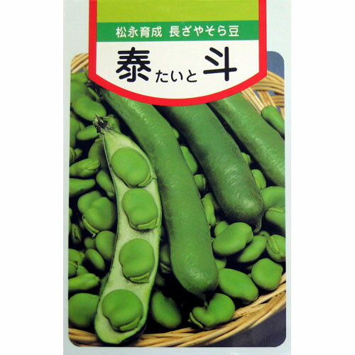 そら豆 種 【泰斗】 小袋（約30ml） （ 種 野菜 野菜種子 野菜種 ）