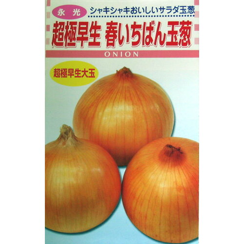 たまねぎ 種 【春いちばん玉葱】 4ml （ 種 野菜 野菜種子 野菜種 ）のサムネイル