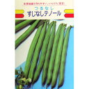 つるなしいんげん 種 【すじなしテノール】 30ml ( 種 野菜 野菜種子 野菜種 )