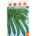 そら豆 種 【城陽長莢ソラマメ】 小袋(約30ml) ( 種 野菜 野菜種子 野菜種 )
