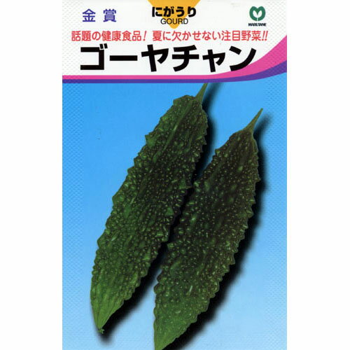 ゴーヤ 種 【ゴーヤチャン】 5ml （ 種 野菜 野菜種子 野菜種 ）