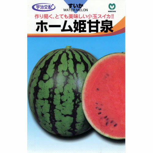 スイカ 種 【ホーム姫甘泉 (ひめかんせん)】 小袋 （ 種 野菜 野菜種子 野菜種 ）