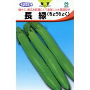 なす 種 【長緑 (ちょうりょく)】 約40粒 （ 種 野菜 野菜種子 野菜種 ）