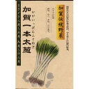 ネギ 種 【 加賀一本太葱 】 種子 小袋(約9ml) ( 種 野菜 野菜種子 野菜種 )