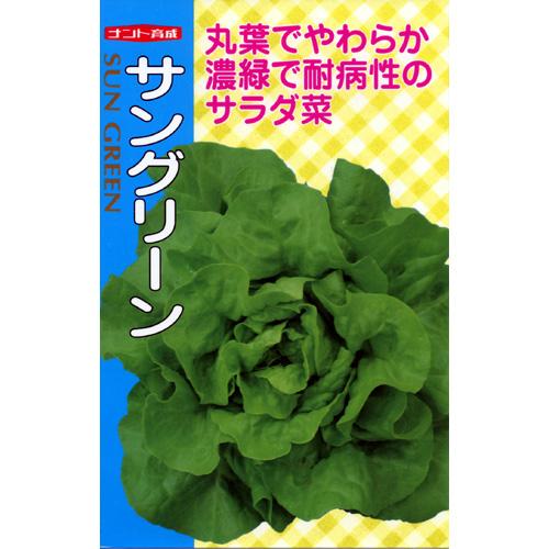 レタス 種 【 サングリーン 】 種子 小袋（約1ml） （ 種 野菜 野菜種子 野菜種 ）
