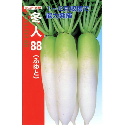 大根 種 【 冬人88 】 種子 小袋（約4ml） （ 種 野菜 野菜種子 野菜種 ）