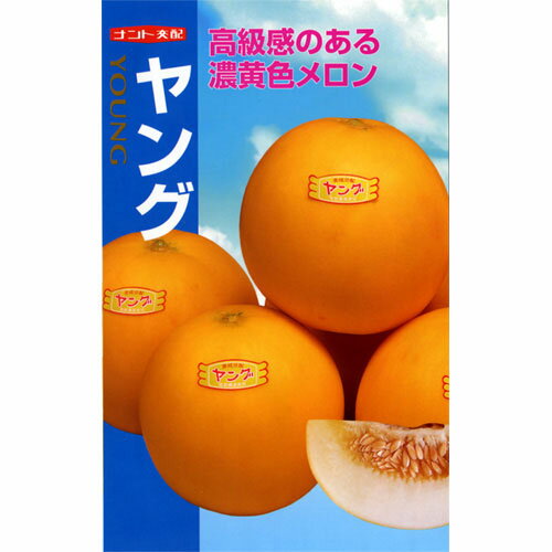 Summer Vegetables - メロン 種 【 ヤング 】 小袋(6粒) ( メロンの種 )