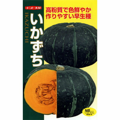 Other - かぼちゃ 種 【いかずち】 8粒 （ 種 野菜 野菜種子 野菜種 ）