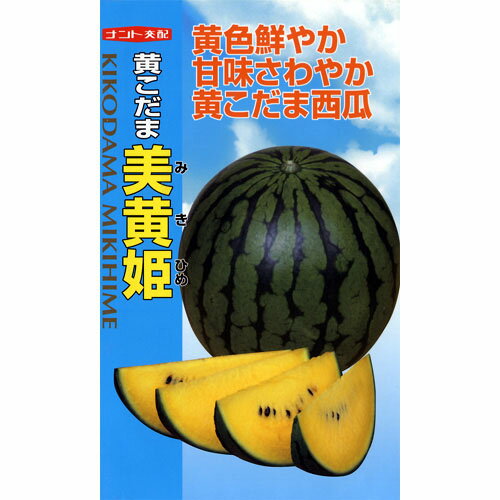 スイカ 種 【 黄こだま美黄姫 (みきひめ) 】 小袋（7粒） ( スイカの種 )