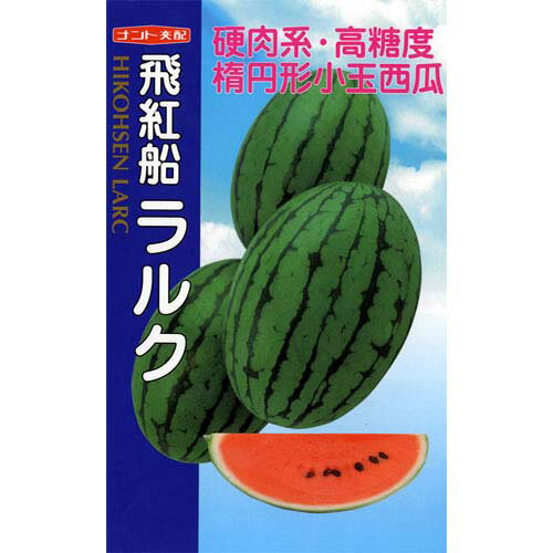 スイカ 種 【 飛紅船ラルク 】 小袋(7粒) ( スイカの種 )